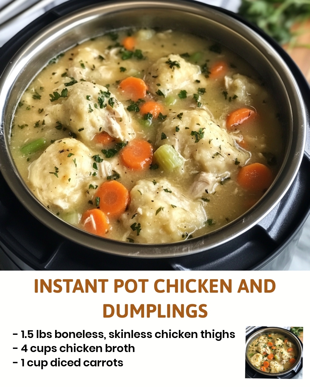 Instant Pot Chicken and Dumplings