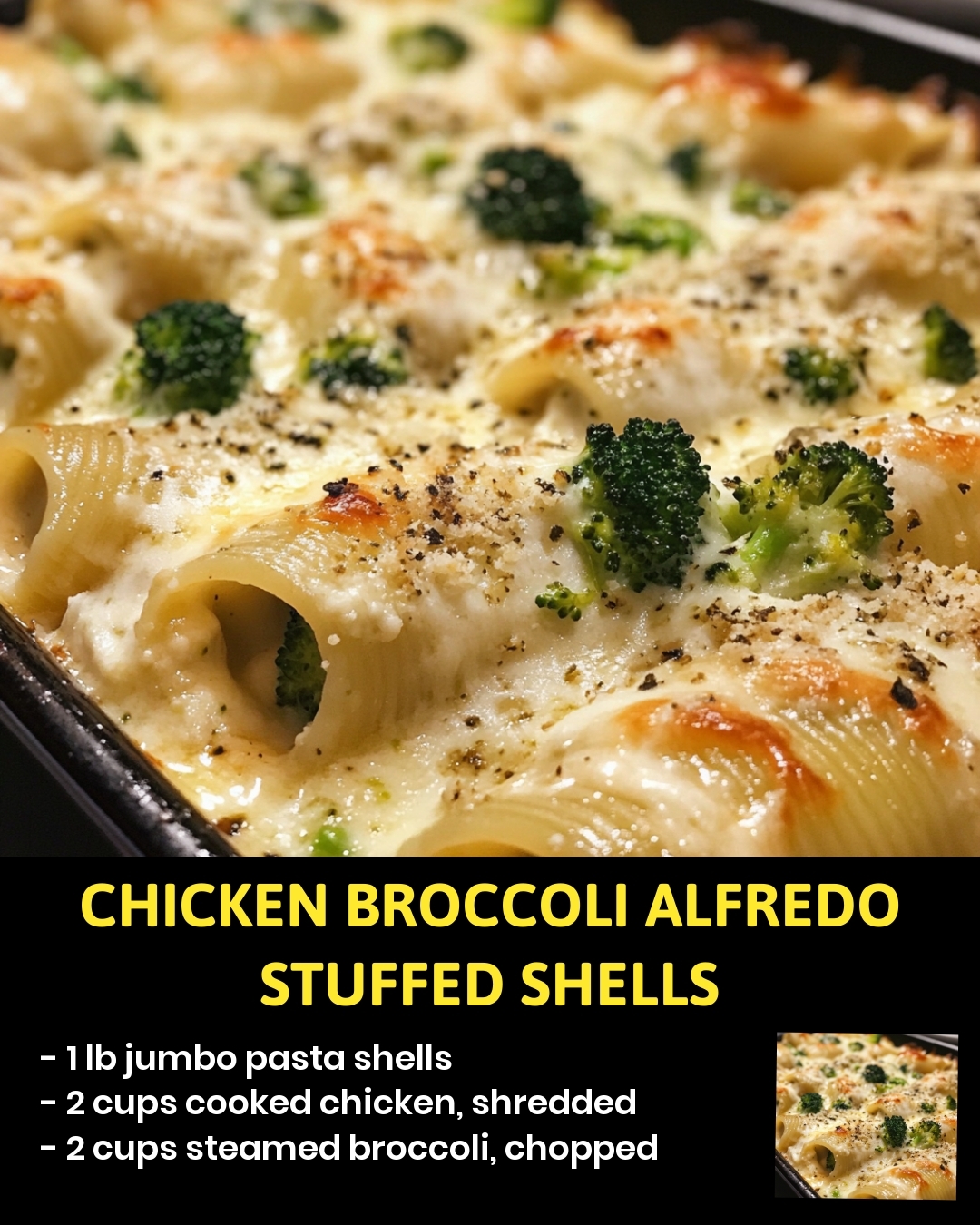 Chicken Broccoli Alfredo Stuffed Shells
